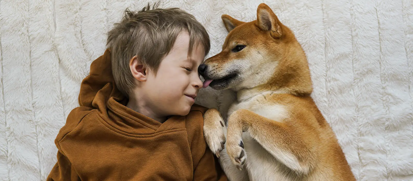 educacion-cachorros-refuerzo-positivo